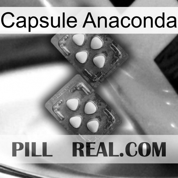 Anaconda Capsule 14